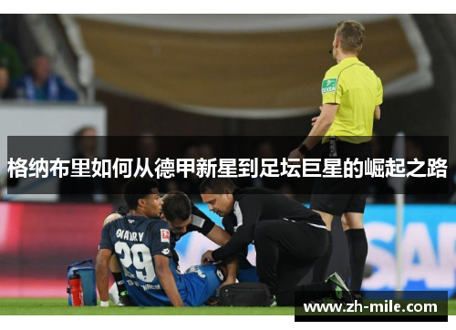 格纳布里如何从德甲新星到足坛巨星的崛起之路 格纳布里如何从德甲新星到足坛巨星的崛起之路