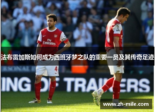 法布雷加斯如何成为西班牙梦之队的重要一员及其传奇足迹
