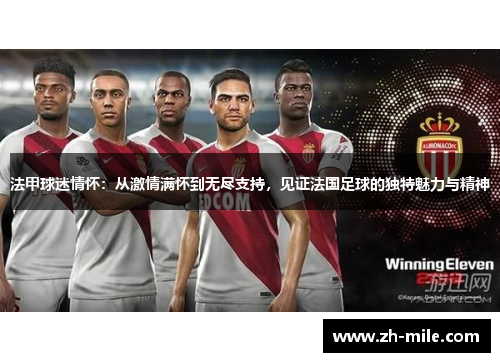 法甲球迷情怀：从激情满怀到无尽支持，见证法国足球的独特魅力与精神