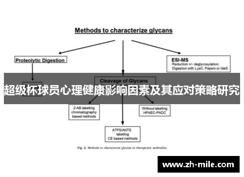 超级杯球员心理健康影响因素及其应对策略研究 超级杯球员心理健康影响因素及其应对策略研究