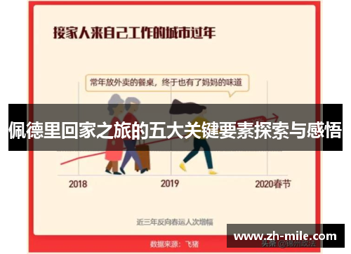 佩德里回家之旅的五大关键要素探索与感悟