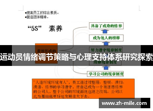 运动员情绪调节策略与心理支持体系研究探索