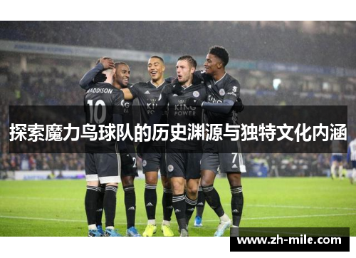 探索魔力鸟球队的历史渊源与独特文化内涵