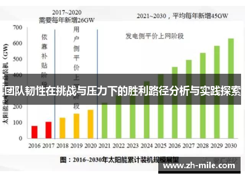团队韧性在挑战与压力下的胜利路径分析与实践探索 团队韧性在挑战与压力下的胜利路径分析与实践探索