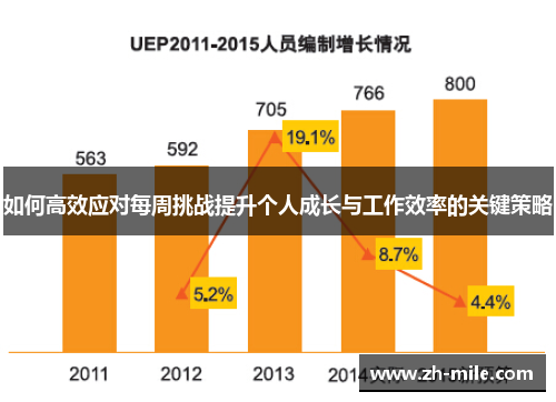 如何高效应对每周挑战提升个人成长与工作效率的关键策略