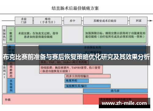 布克比赛前准备与赛后恢复策略优化研究及其效果分析