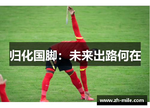 归化国脚:未来出路何在 归化国脚:未来出路何在