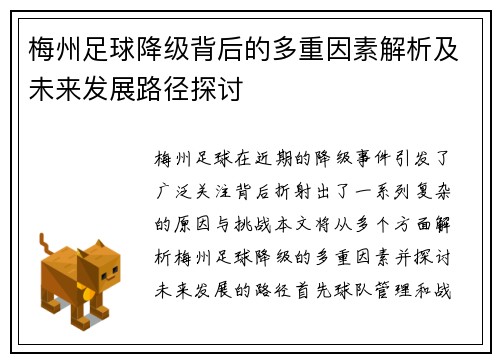 梅州足球降级背后的多重因素解析及未来发展路径探讨