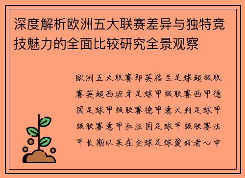 深度解析欧洲五大联赛差异与独特竞技魅力的全面比较研究全景观察